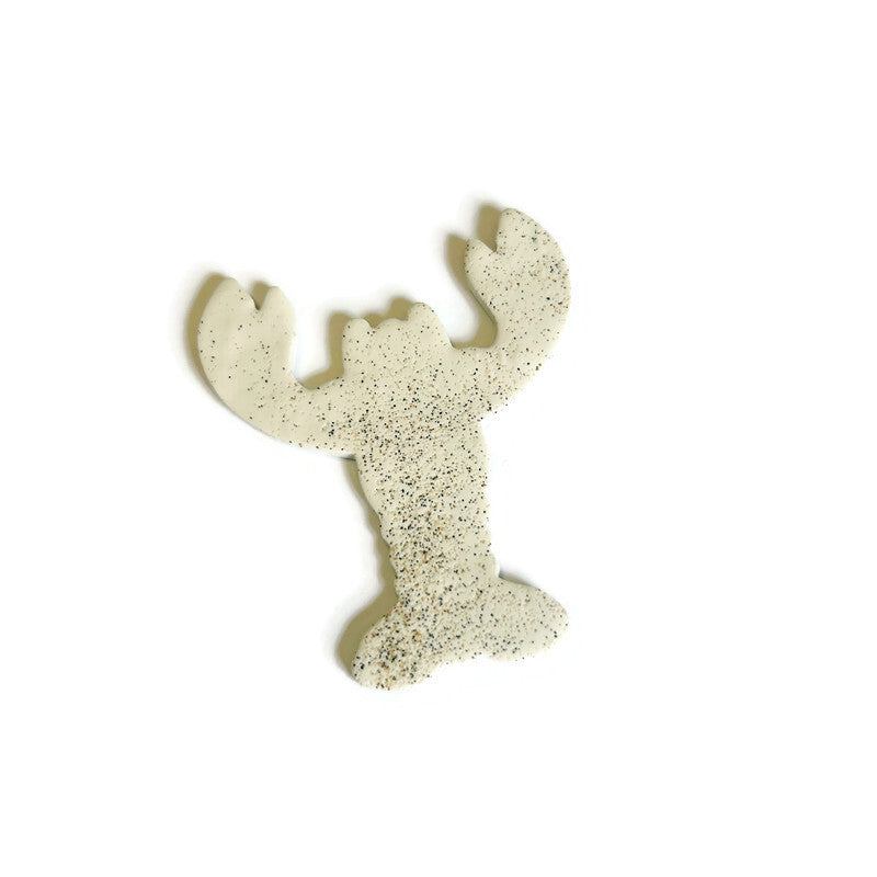 Beach Sand Lobster Magnet